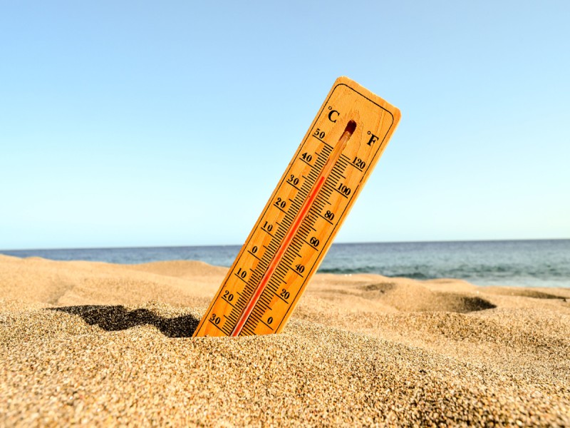 Les vagues de chaleur en France : un phénomène de plus en plus fréquent